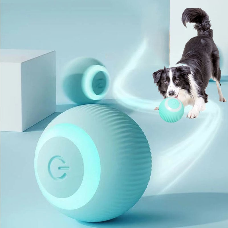 Amazee™ Interactive Pet Ball