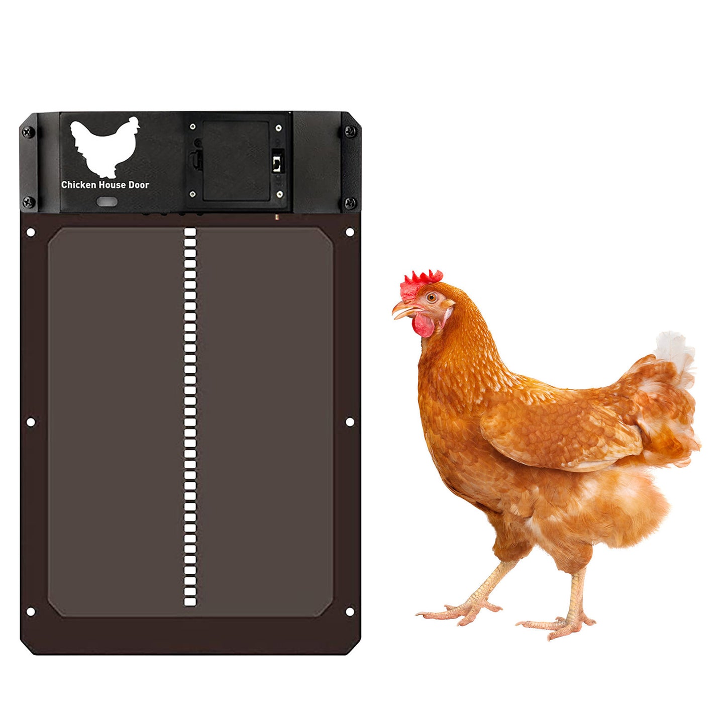 Automatic Chicken Coop Door